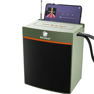 BoomBest LN-1036BT Mini Bluetooth Speaker – Deep Bass Wireless Sound System with FM & USB