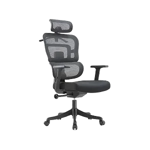 Ergonomic Office Chair with Reclining Function, Adjustable Armrests