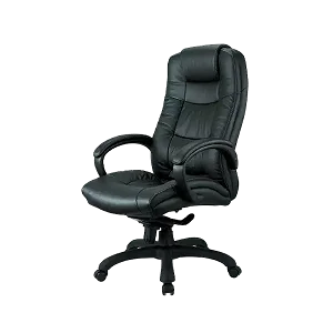 Status Genuine Leather Black Mesh Chair