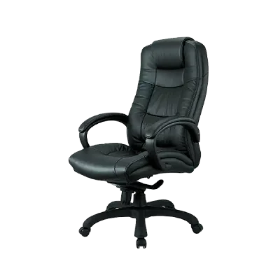 Status Genuine Leather Black Mesh Chair