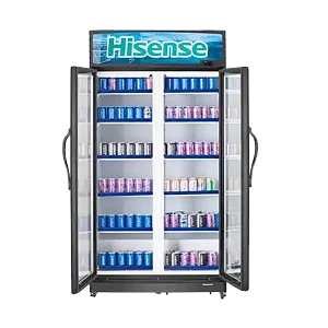 Hisense 810L Double Display Fridge Chiller | FL-81
