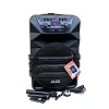 Jazz Dual 12" Amplified Public Address Speaker Rechargeable With Microphones - BLACK