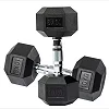 2Pcs Weight Lifting Fitness Exercise Dumbbells / Dumbells 10kgs Each - Black/Silver