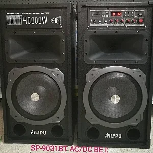 AILIPU Dual 10" Amplified Public Address Speaker 40000W- Black