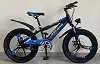 Size 20 Kids Sports Bicycle (9- 14 Years)  With Dual Brakes And Designs Vary-Multicolours