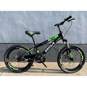 20 Inch Kids Sports Bicycle For Ages (8 - 13 Yrs) With Dual Brakes And Designs Vary-Multicolor