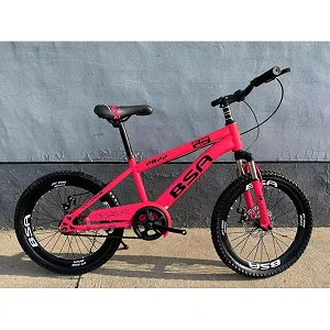 20 Inch Kids Sports Bicycle For Ages (8 - 13 Yrs) With Dual Brakes And Designs