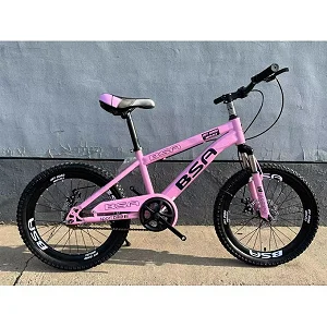 20 Inch Kids Sports Bicycle For Ages (8 - 13 Yrs)