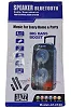 Jazz JZ-2100 Portable Bluetooth Speaker With Built-in Microphones, FM Radio, USB & SD Card Playback