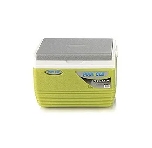Pinnacle Insulated Water Cooler Ice Box 4.5L - Green