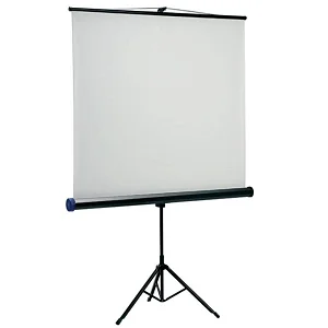 Projector Screen – 200x200 cm With Stand - White