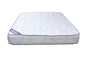 Rosefoam 5×6 8 Inch High Density Quilted Mattress – Multicolor