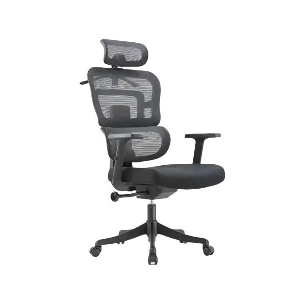 Ergonomic Office Chair with Reclining Function, Adjustable Armrests