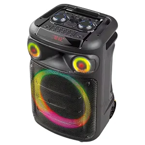 Ailipu Rechargeable Party Speaker with Bluetooth, TWS & Wireless Microphone