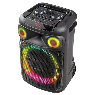 Ailipu Rechargeable Party Speaker with Bluetooth, TWS &amp; Wireless Microphone