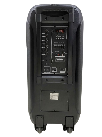 Smart Plus MP-212 Dual 12-Inch Professional Portable Speaker – Bluetooth & 2 Wireless Mics