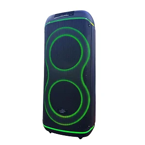 AILIPU Karaoke Speaker System with Wireless Connectivity, TWS & LED Party Lighting